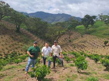 Reconocen a Nestl por proyectos sobre cuidado de bosques en Mxico, Centroamrica, Colombia y Per