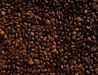 Nescaf apoya a la caficultora salvadorea con capacitaciones