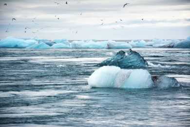 Deloitte brindar acompaamiento tcnico a finalistas del Premio de Innovacin Climtica