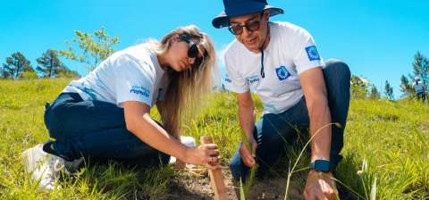 Grupo Popular impulsa la reforestacin con la siembra de 5,000 rboles en Plan Sierra