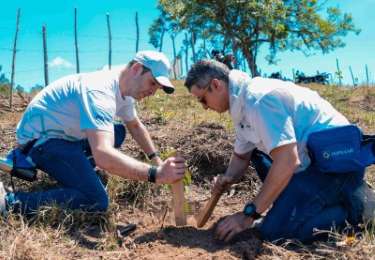 Grupo Popular impulsa jornada de reforestacin en la Cordillera Central