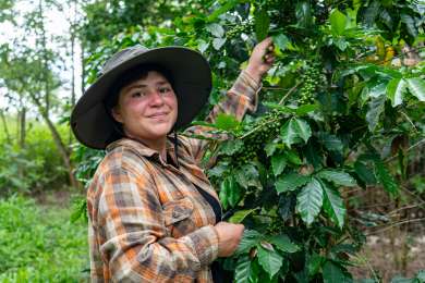 Ms de 1.100 jvenes fortalecen sus conocimientos en caficultura gracias al Plan Nescaf
