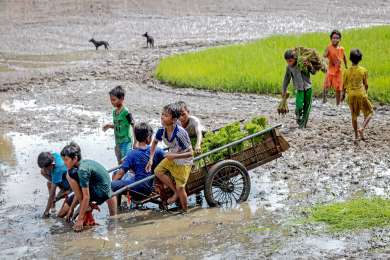 Costa Rica lanza Hoja de Ruta 2026-2030 para convertirse en pas libre de trabajo infantil