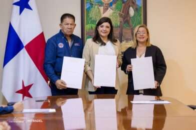 Mitradel evit� 73 huelgas y fortaleci� el empleo formal en 2025 mediante di�logo y modernizaci�n laboral