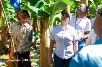 Reactivaci�n bananera en Bocas del Toro impulsa empleo formal y refuerza la protecci�n laboral