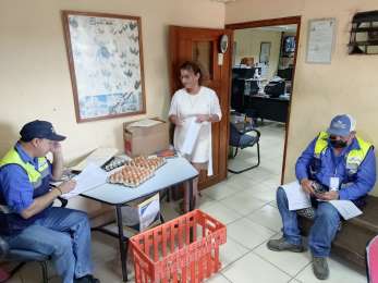 Verifican condiciones laborales en agroindustrias de Los Santos en Panam