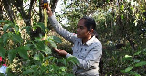 Cobre Panam confirma modelo de minera ambientalmente responsable